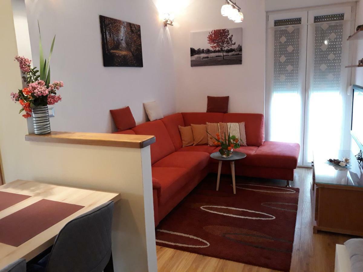 Apartment Matea ロヴィニ エクステリア 写真